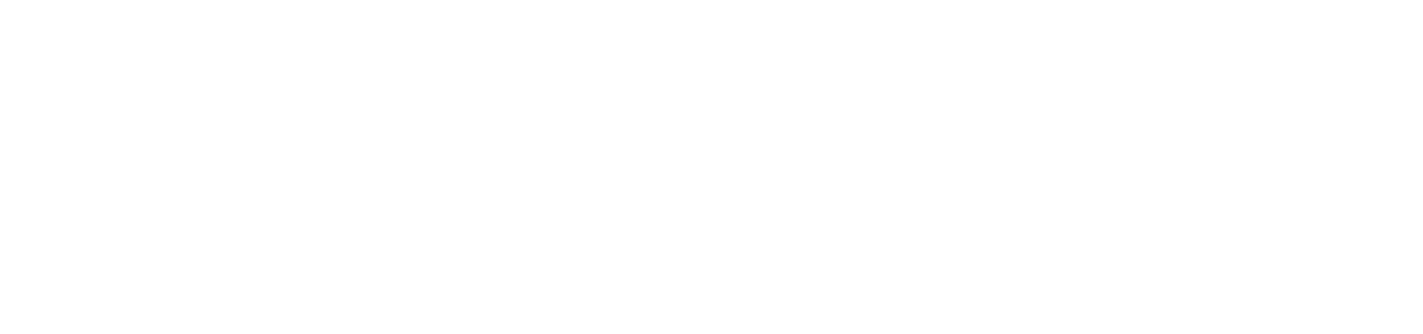 logo de website
